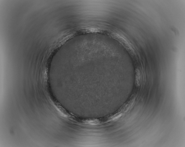 X0000112900410200909041727