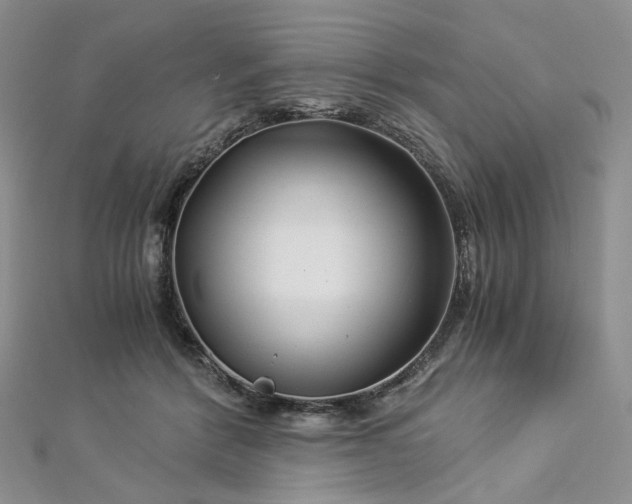 X0000112900412200909041727