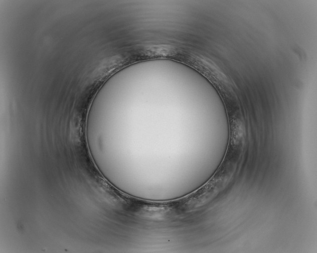 X0000112900414200909041727