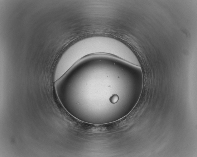 X0000112900415200909041727