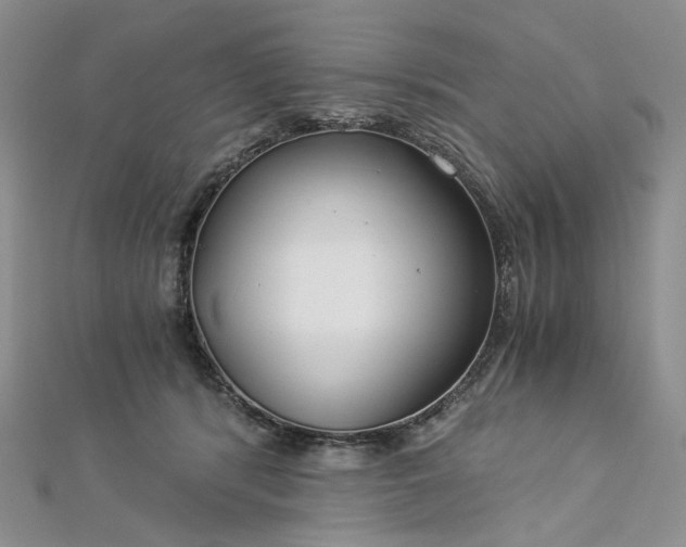 X0000112900416200909041727