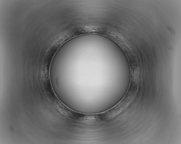 X0000112900418200909041726