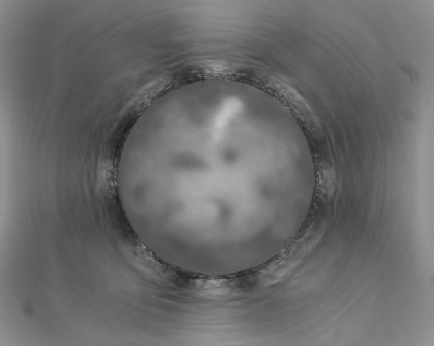 X0000112900419200909041726