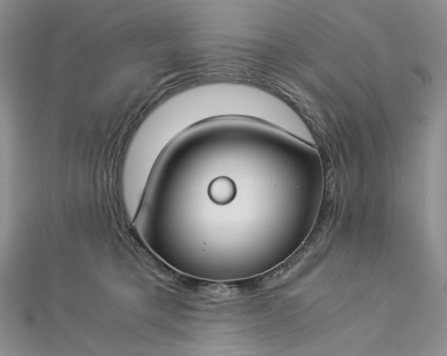 X0000112900421200909041726