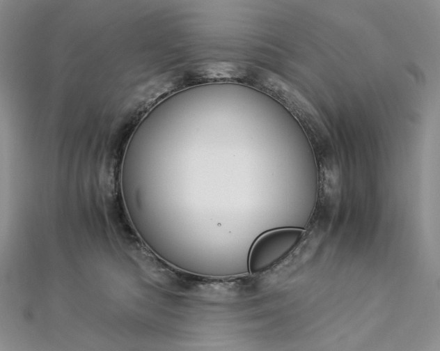 X0000112900422200909041726