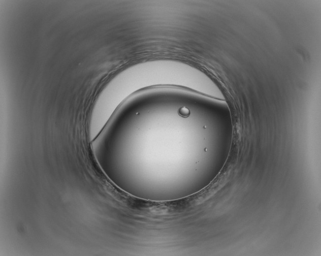 X0000112900423200909041726