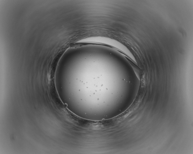 X0000112900424200909041726