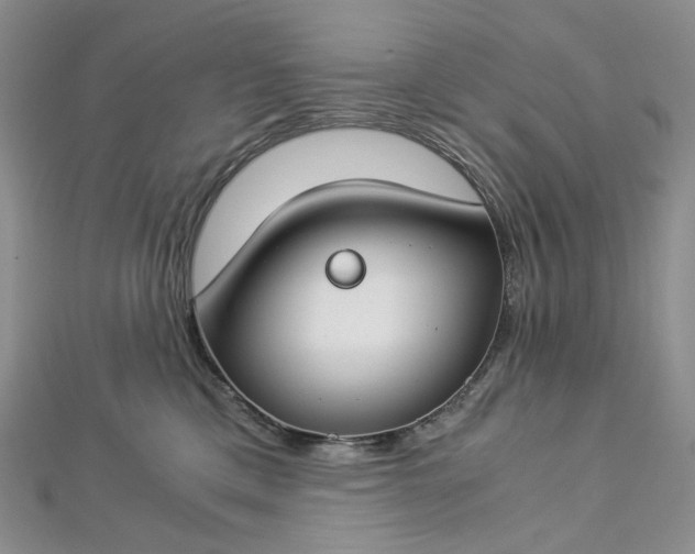 X0000112900425200909041726