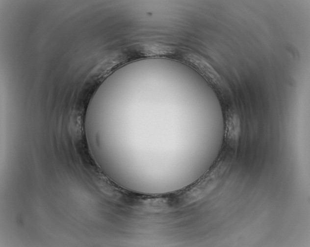 X0000112900426200909041726