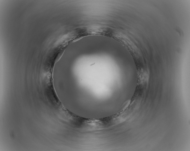 X0000112900427200909041726