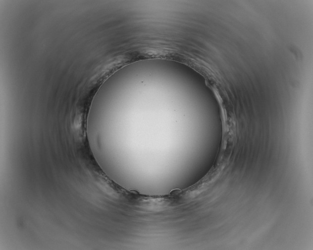 X0000112900428200909041726