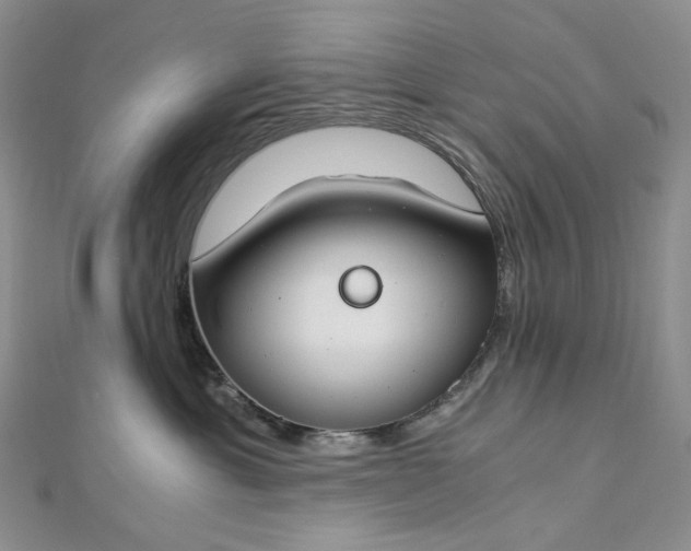 X0000112900429200909041726