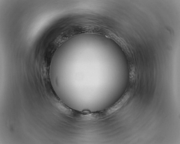 X0000112900430200909041726