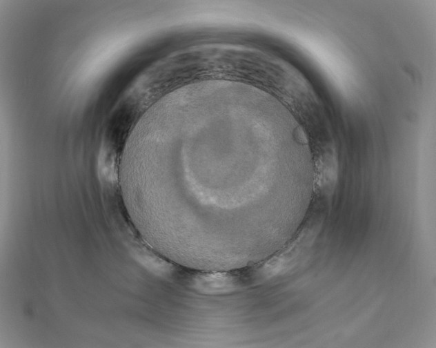 X0000112900431200909041726