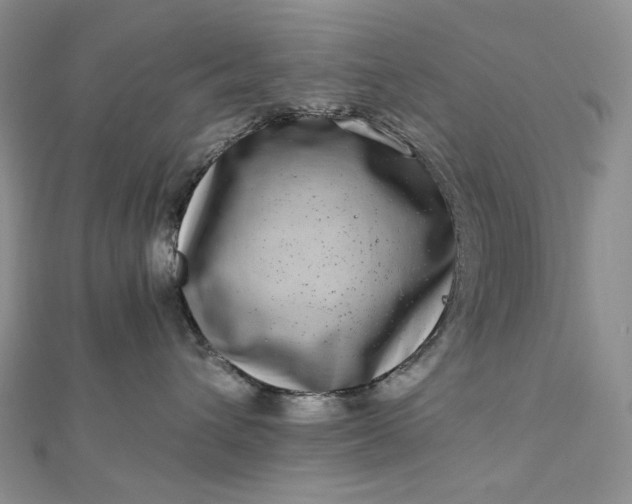 X0000112900432200909041726