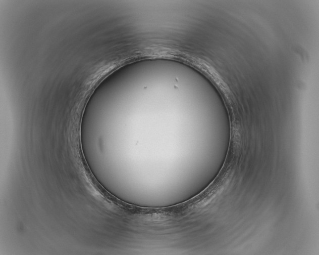 X0000112900433200909041726