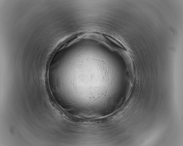 X0000112900434200909041726