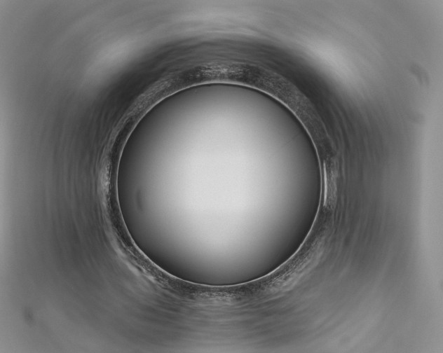 X0000112900435200909041726