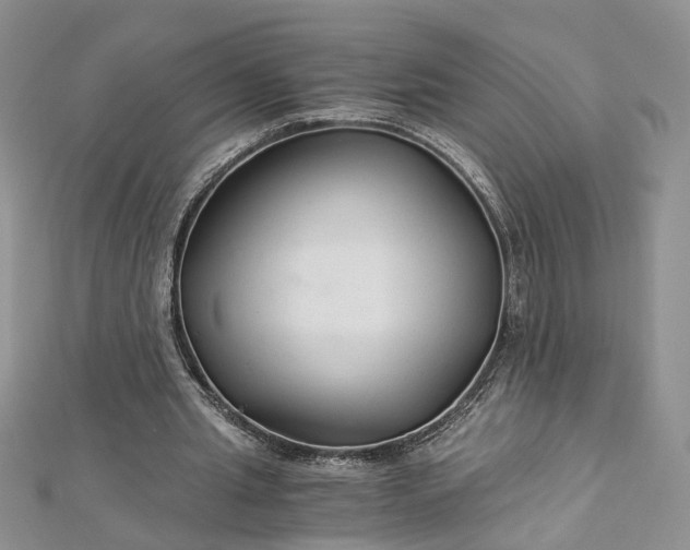 X0000112900437200909041726