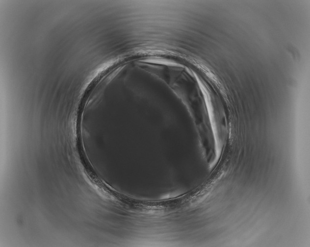 X0000112900438200909041726