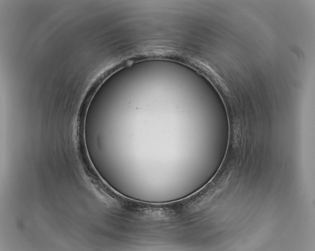 X0000112900439200909041726