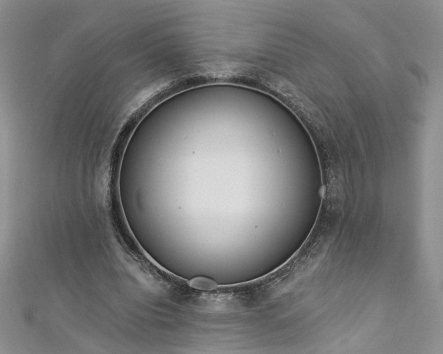 X0000112900440200909041726