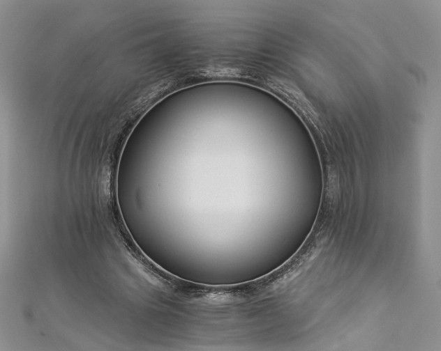 X0000112900441200909041726