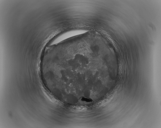 X0000112900443200909041726