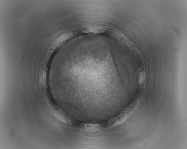 X0000112900444200909041726