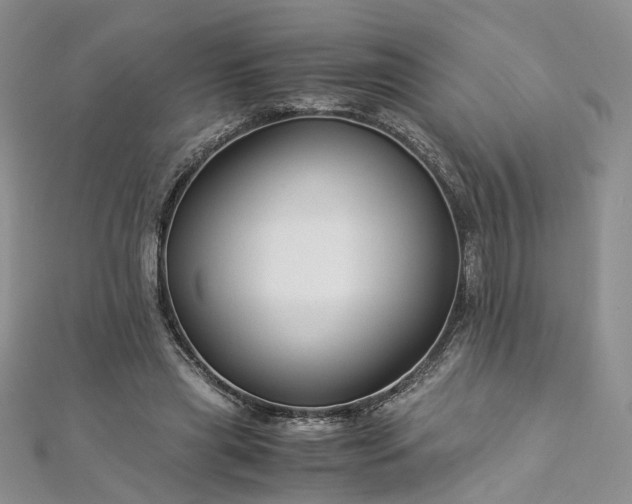 X0000112900445200909041726