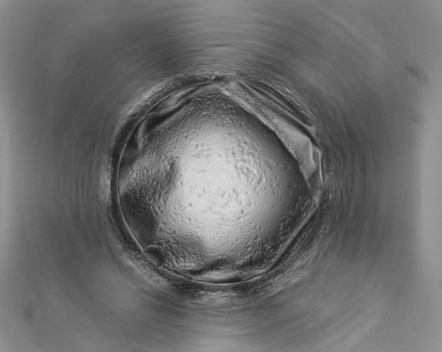 X0000112900446200909041726