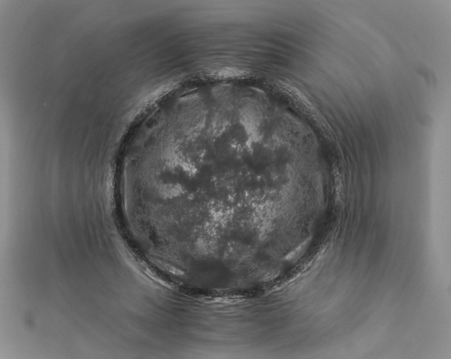 X0000112900447200909041726