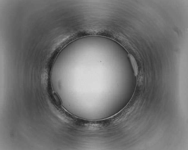 X0000112900448200909041726