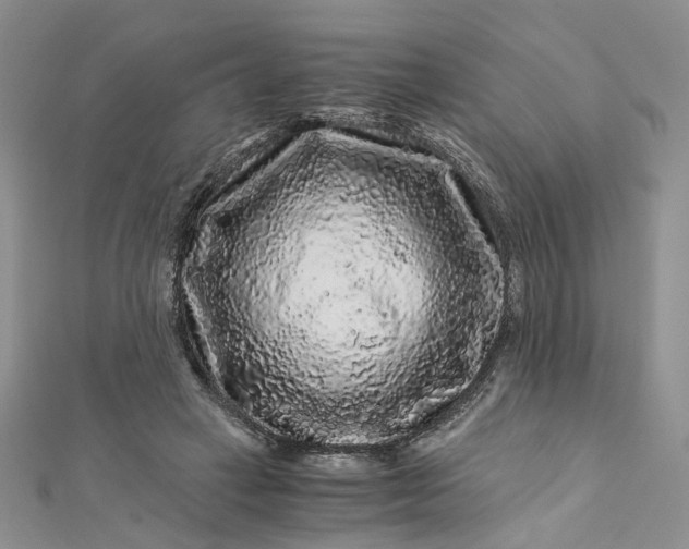 X0000112900449200909041726