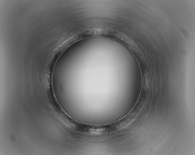 X0000112900450200909041726