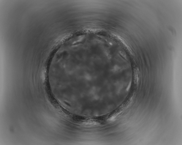 X0000112900451200909041726