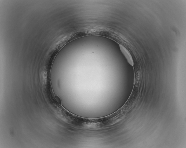 X0000112900452200909041726