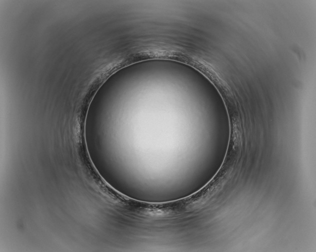 X0000112900453200909041726