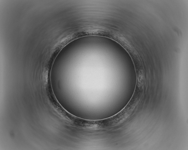 X0000112900454200909041726