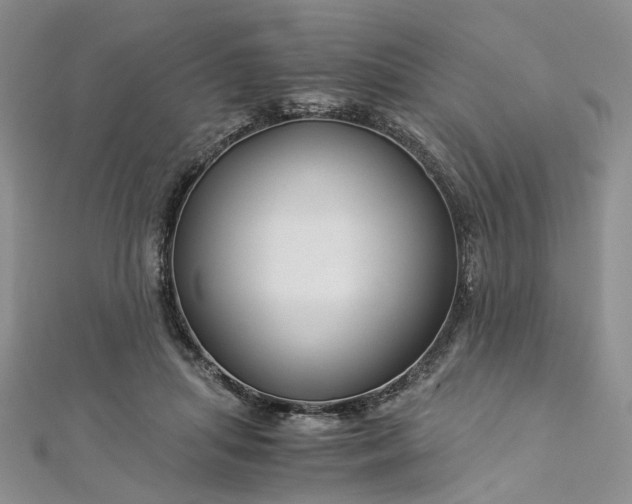 X0000112900455200909041726