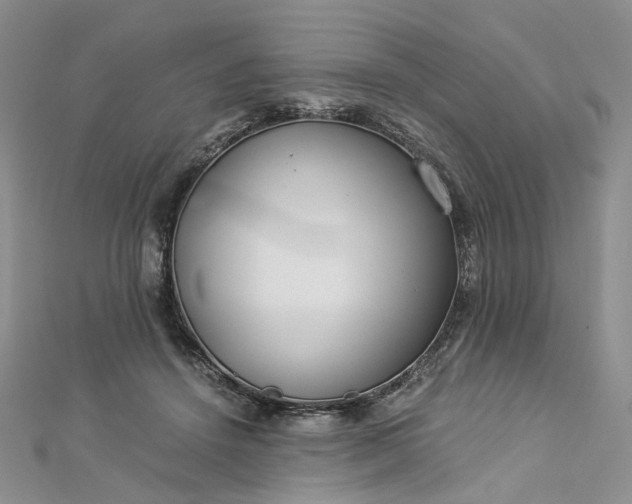 X0000112900456200909041726