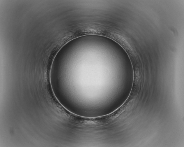 X0000112900457200909041726