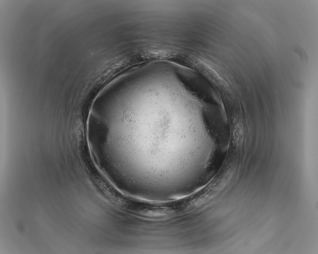 X0000112900459200909041726