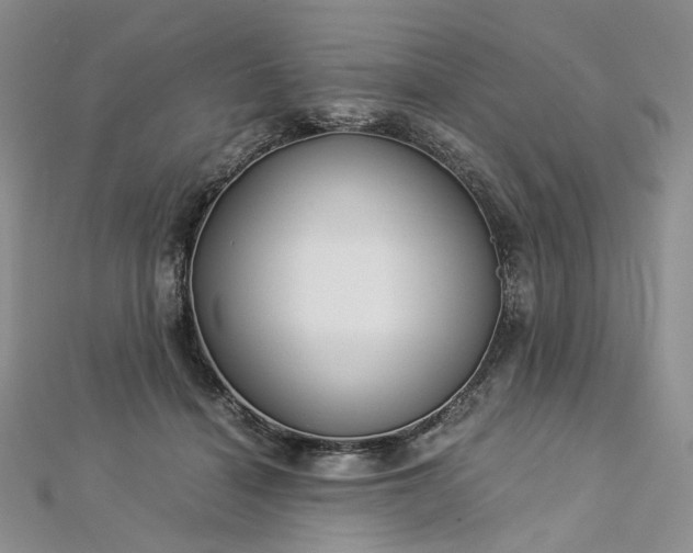 X0000112900460200909041726