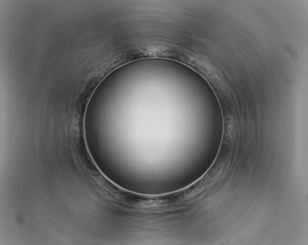 X0000112900461200909041726