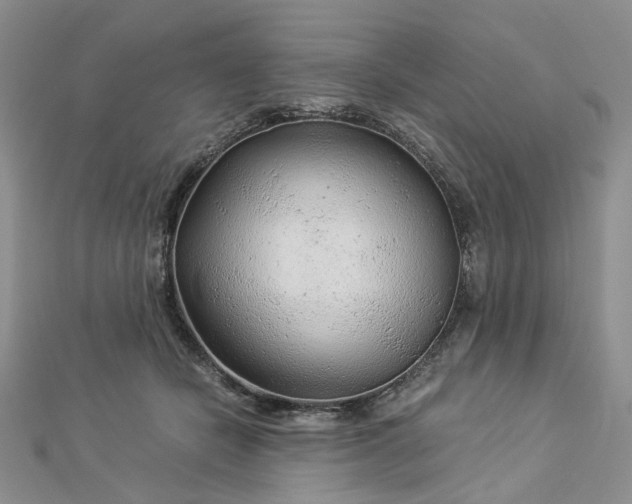 X0000112900462200909041726