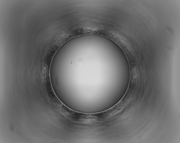 X0000112900463200909041726