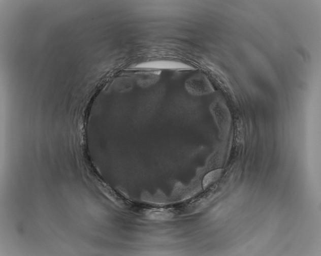 X0000112900465200909041726