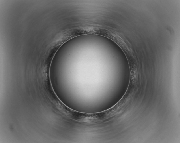 X0000112900466200909041726