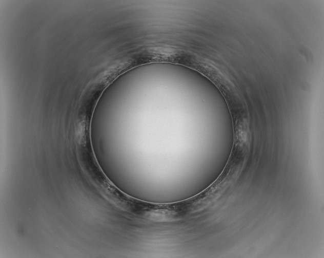 X0000112900468200909041726